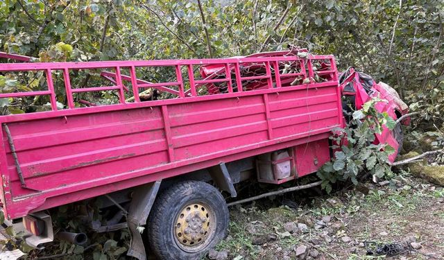 Giresun’da Fındık Bahçesine Yuvarlanan Kamyonet Faciası: 4 Ölü, 1 Ağır Yaralı