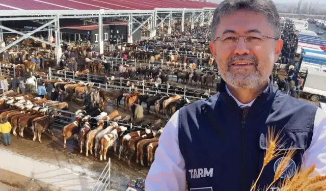 7 ilde hayvan pazarları açıldı, sırada 17 il daha var: Kahramanmaraş'ta ne zaman açılacak?