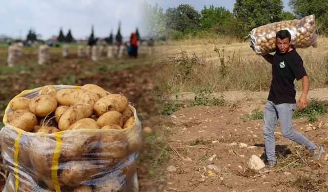 Yığınla ürün bedava dağıtıldı: Dakikalar içinde tükendi