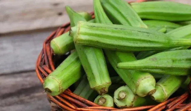 Kahramanmaraş’ta Bamya Altınla Yarışıyor