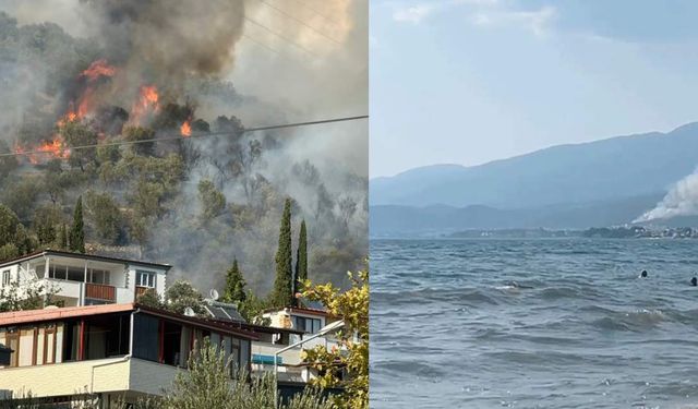 Edremit'te orman yangını çıktı!