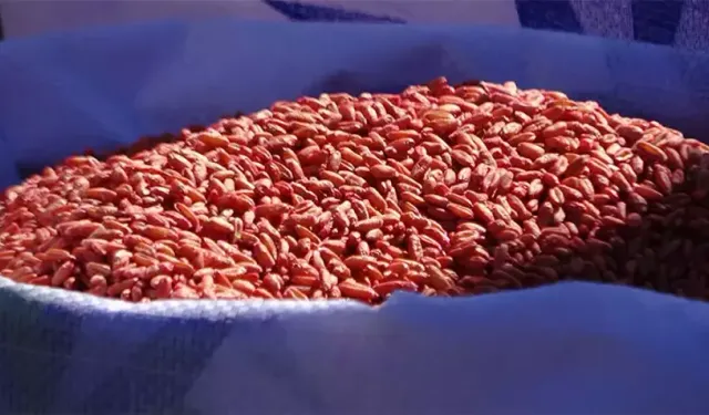 Üreticiye can suyu: Van’da binlerce ton destek tarlalara ulaştı