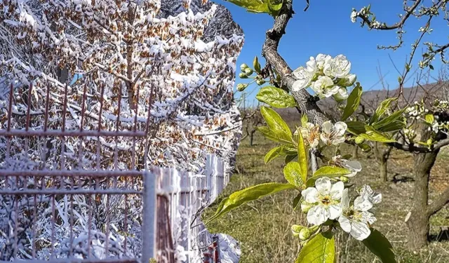 Kış normallerin üstünde geçecek: Meteoroloji'den tarım uyarısı