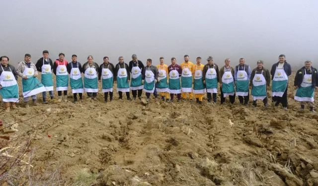 Kahramanmaraş’ta Büyük Ölçekli Sedir Tohumlama