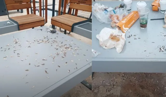 Yer: Kahramanmaraş... Yediler, içtiler, çöplerini bırakıp gittiler