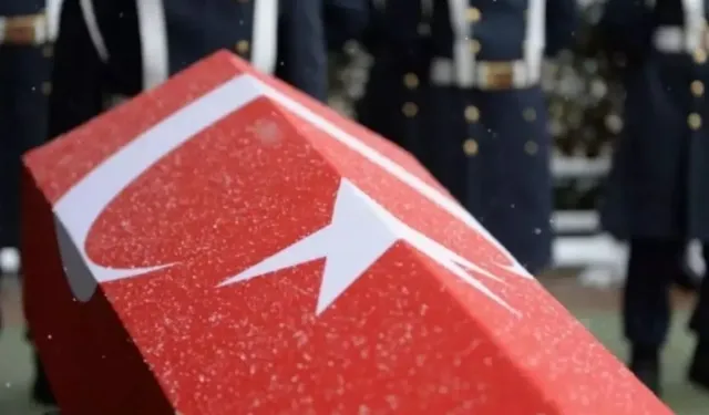 MSB acı haberi duyurdu! 1 asker şehit oldu