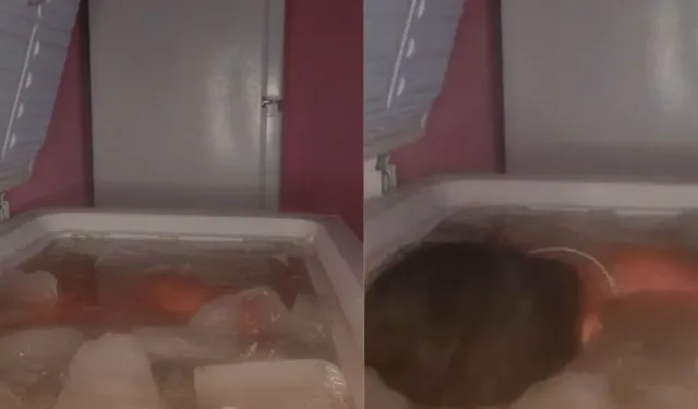 Kahramanmaraş'ın Buz Adamı: 3 Yıldır Buz Dolabında