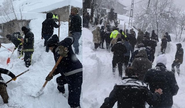 Van'da Yerleşim Yerine Çığ Düştü! Çok Sayıda Ev Boşaltıldı