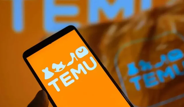 WhaleCo Turkey Nedir? Temu Türkiye Satışları Yeniden mi Başladı?