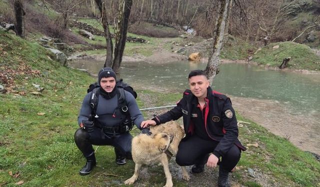 Kahramanmaraş’ta Nefes Kesen Kurtarma: Mahsur Kalan Köpek Son Anda Kurtarıldı
