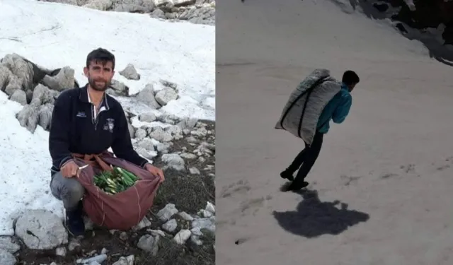 Kahramanmaraş'ın doğasında yetişiyor: Köylüler kilosunu 300 TL'ye satıyor