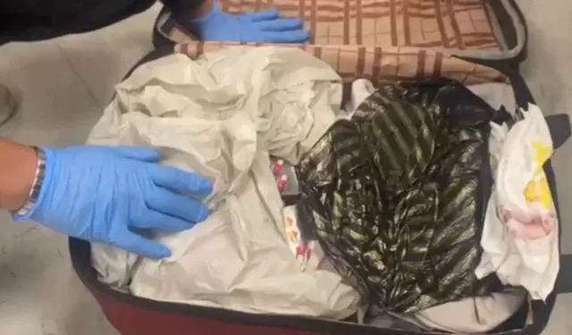 Kahramanmaraş Dahil 25 İlde Operasyon: 255 Kişi Gözaltına Alındı