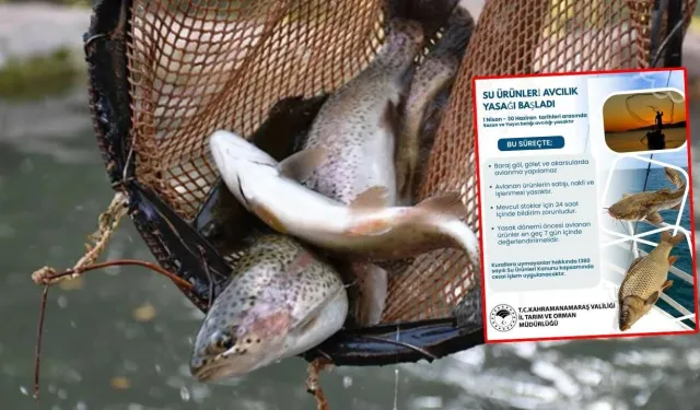 Kahramanmaraş Balık Avı Yasağı 2026: Hangi Balıklar Yasaklandı?