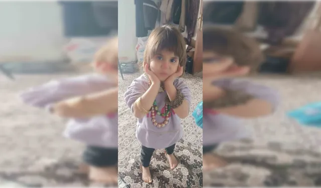 Rabia İlgaz bulundu mu, son durum ne? Bitlis Hizan arama çalışmaları!