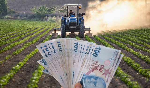 Türk Çiftçisi Zor Günler Geçiriyor: Artan Maliyetler Üreticiyi Çıkmaza Sürüklüyor