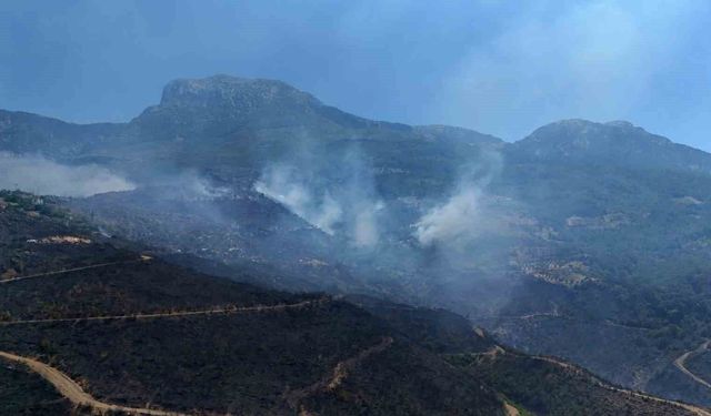 Alanya Orman Yangınında Mücadele İkinci Gününde Sürüyor