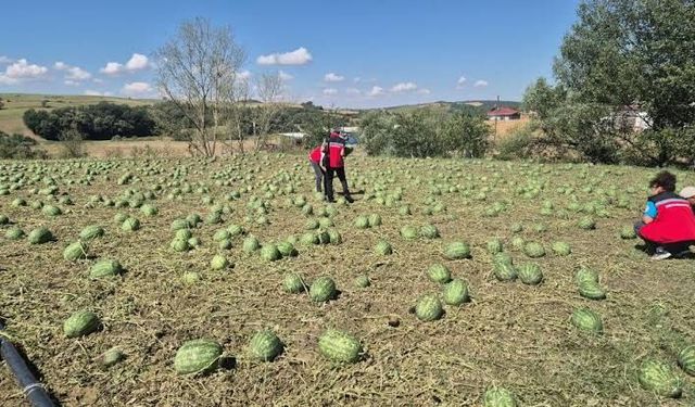 Tekirdağ'da Dolu Felaketi: 35 Bin Dönüm Tarım Arazisi Yerle Bir Oldu!