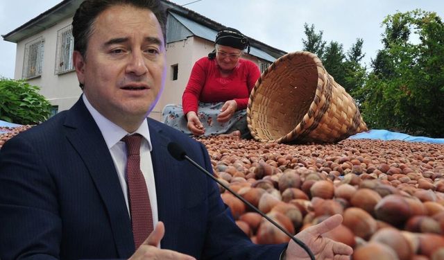Ali Babacan Sakarya'da fındık üreticilerini dinledi