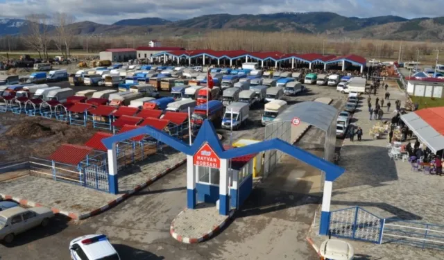 Kahramanmaraş’ta şap hastalığı alarmı: Göksun Hayvan Borsası kapatıldı