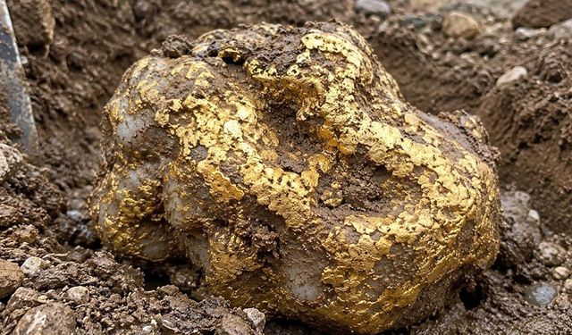 Alaska'da Bulunan 9 Kiloluk Altın Külçesi Açık Artırmada Satıldı