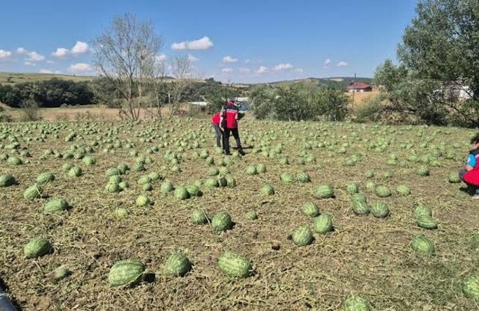 Tekirdağ'da Dolu Felaketi: 35 Bin Dönüm Tarım Arazisi Yerle Bir Oldu!