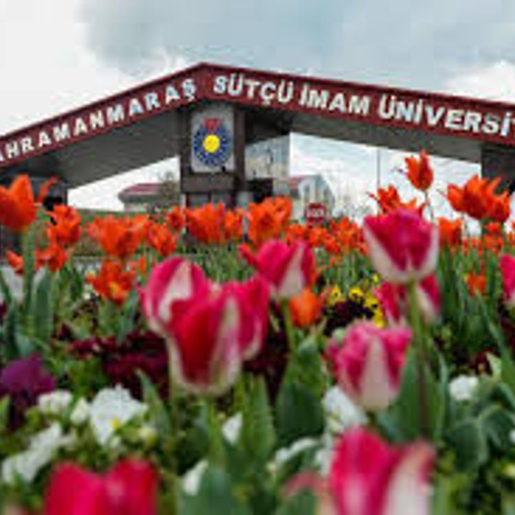 KSÜ Öğretim Üyesi Alım İlanı Başvuru Şartları