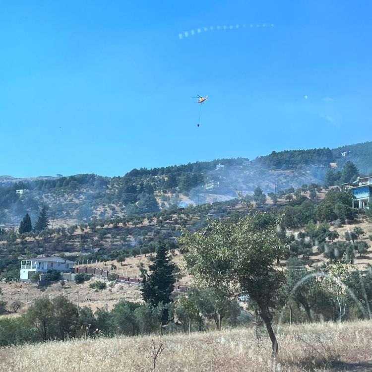 Kahramanmaraş dulkadiroğlu'nda Ziraat Yangını Kontrol Altına Alındı