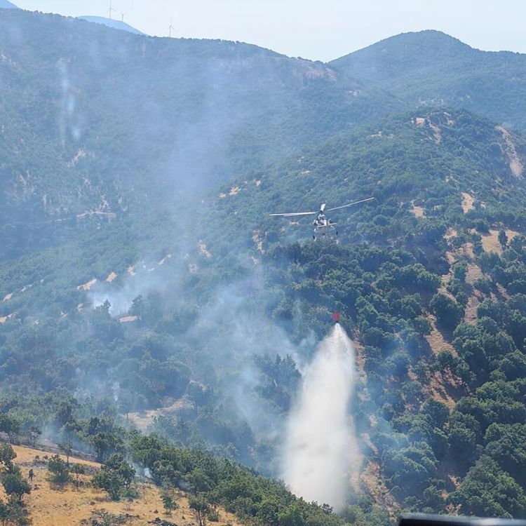 Kahramanmaraş’ta İki Ayrı Orman Yangını Kontrol Altına Alındı