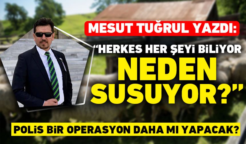 Mesut Tuğrul yazdı: "Herkes her şeyi biliyor, neden susuyor?" Polis bir operasyon daha mı yapacak?