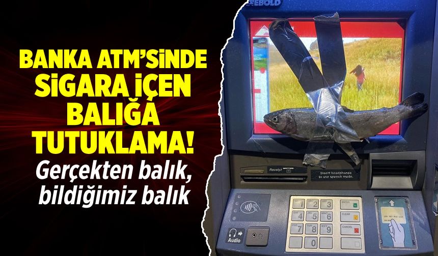 Sigara içen balık tutuklandı: Banka ATM'sindeki garip olayın perde arkası!