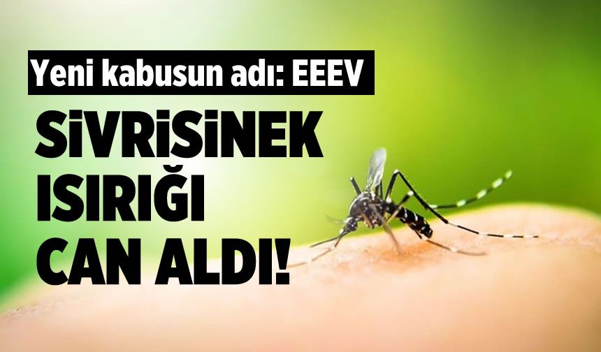 Ölümcül Virüs Kapıda: EEEV'e Dikkat!