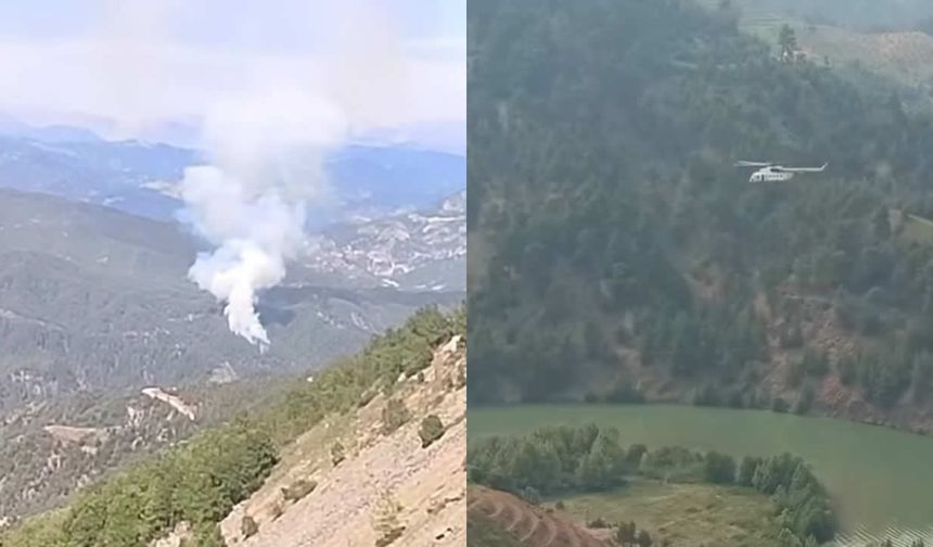 Kahramanmaraş'ta orman yangını: Çok sayıda ekip müdahale ediyor