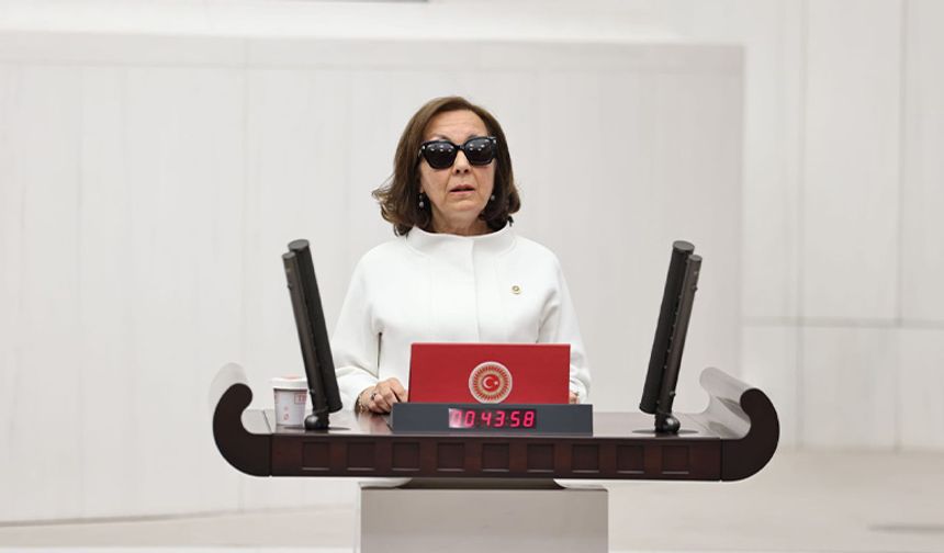 Parti değişiminin ardından önemli görev: Özbudun Anayasa Komisyonu Başkanı