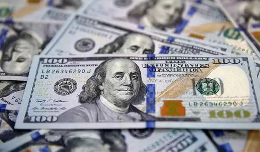 Dolar borcu olanlara kötü, yatırım yapanlara iyi haber