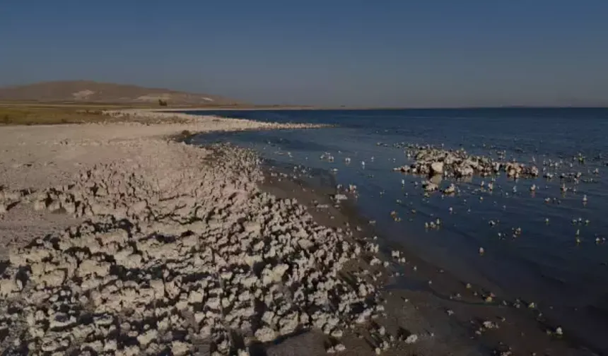 Van Gölü küçülüyor: Suların çekilmesi ekosistemi tehdit ediyor