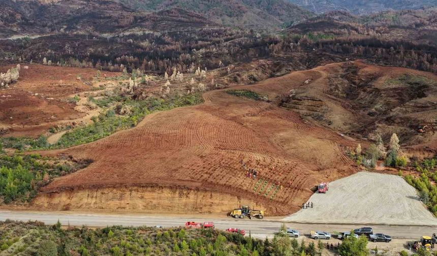 11 Kasım’da Onikişubat'ta Fidan Dikimi etkinliğe davet var!
