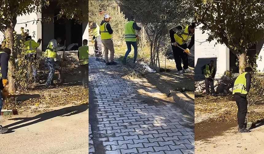 Türkoğlu Belediyesi’nden Mahalle Genelinde Planlı Temizlik Çalışması