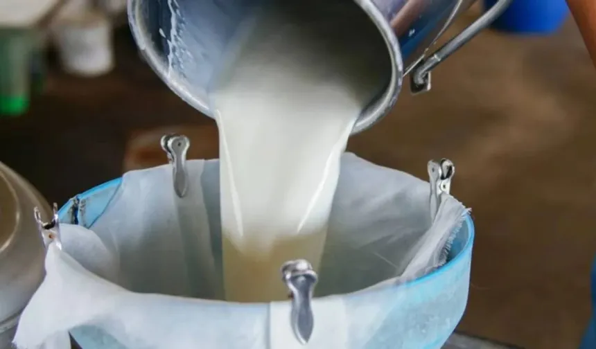 Kahramanmaraş’ta çiğ süt fiyatı belli oldu: Litresi bakın ne kadar oldu