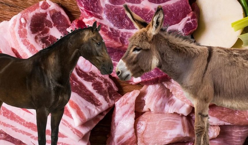 Kahramanmaraş'ta çok meşhur marketteki dönerde at ve eşek eti çıktı!