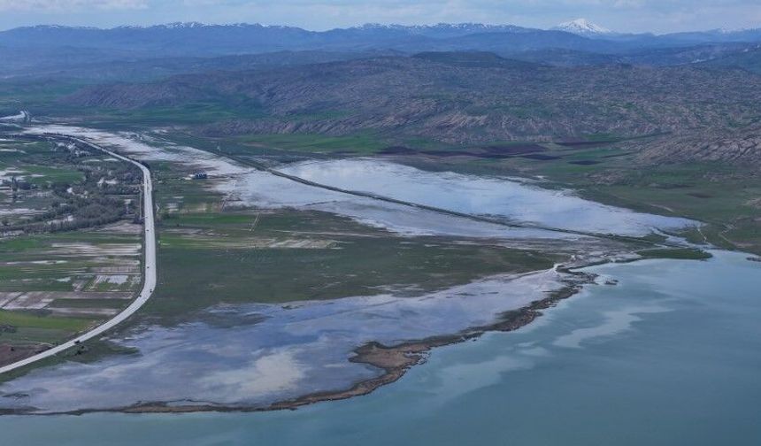Sivas Tödürge Gölü Taştı: Kuş Cennetinde Görsel Şölen