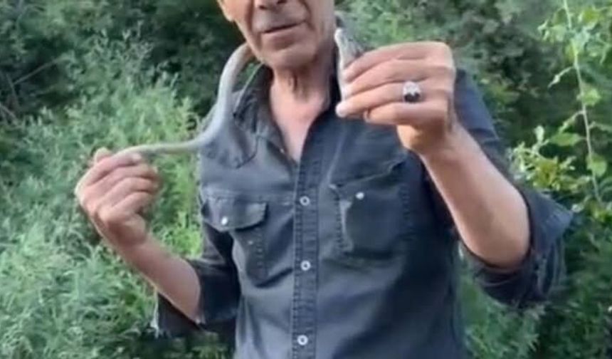 Bingöl'de Tehlikeli Şov: Engereği Boynuna Doladı
