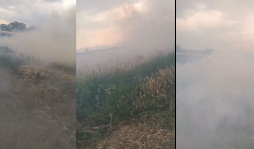 Kahramanmaraş'ta yıldırım nedeniyle buğday alanı zarar gördü
