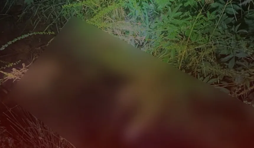 Kahramanmaraş'ta Acı Haber: Suya Düşen Şahıs Hayatını Kaybetti