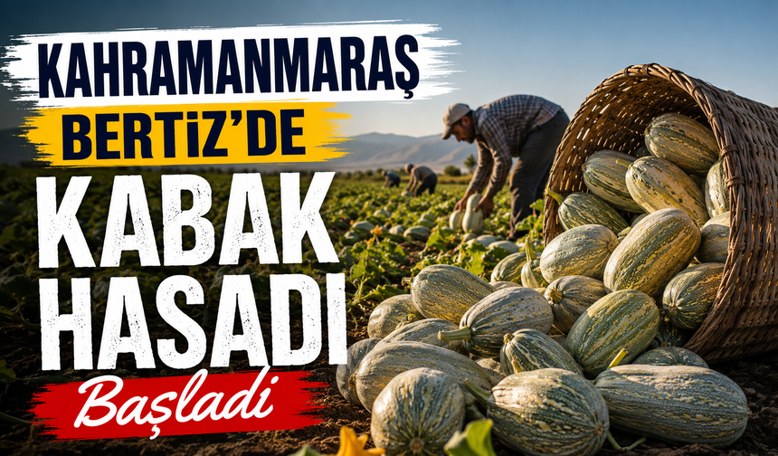 Kahramanmaraş Bertiz'de Kabak Hasadı Başladı