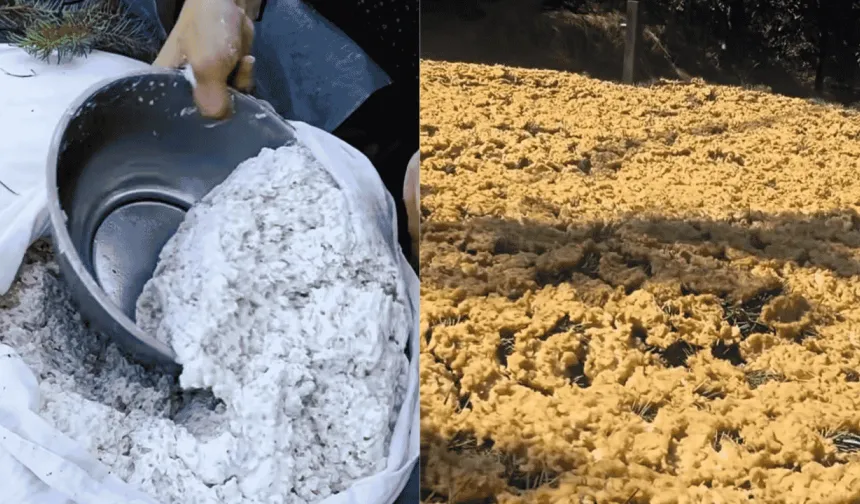 Kahramanmaraş’ta geleneksel tarhana hazırlığı başladı