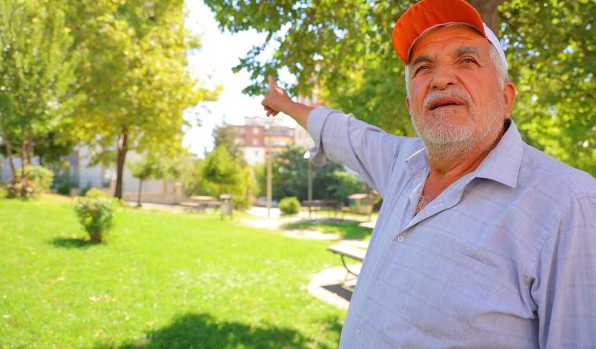 Kahramanmaraş’ta kargalar parkı mesken tuttu
