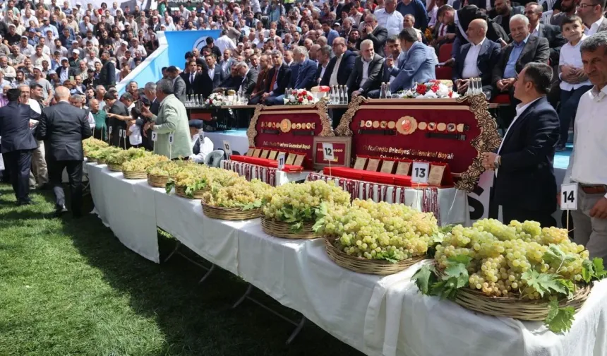 Bertiz Boyalı Güreş Festivali 30. kez düzenlenecek
