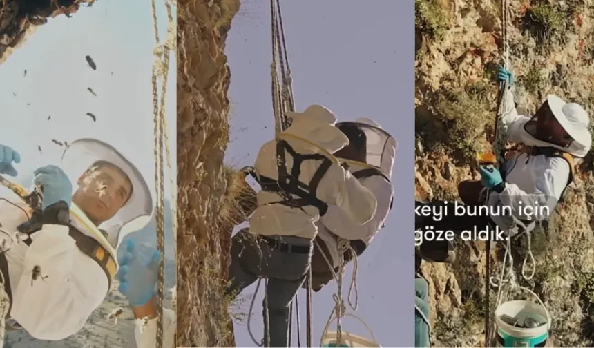 Kahramanmaraş'ta yürekleri ağza getiren bal hasadı! Görenler inanamıyor