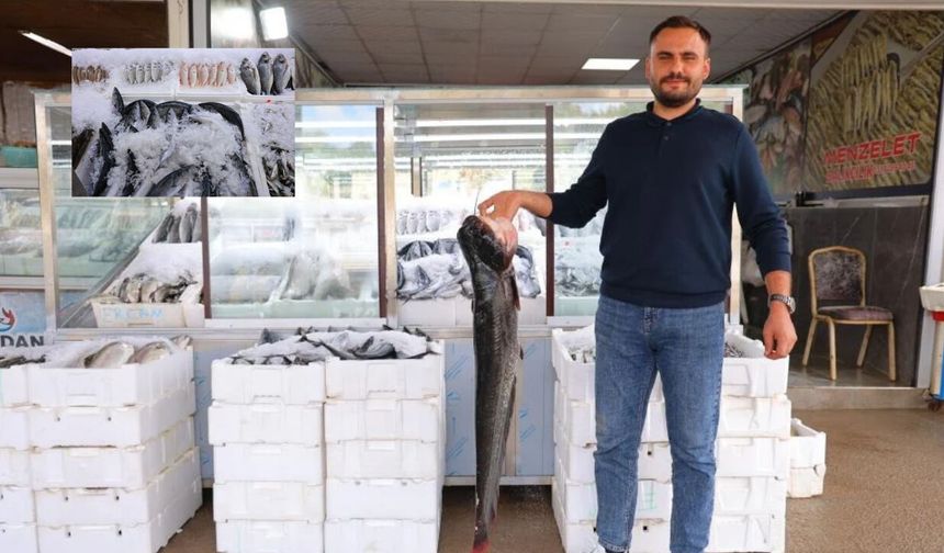 Kahramanmaraş’ta balık sezonu hareketlendi: Fiyatlar 200 ila 1000 lira arasında