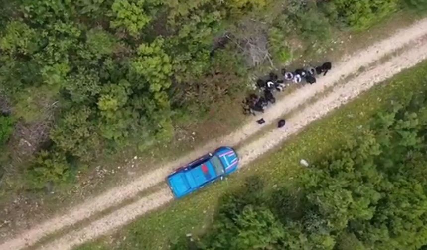 Kahramanmaraş'ın da aralarında bulunduğu 33 ilde operasyon